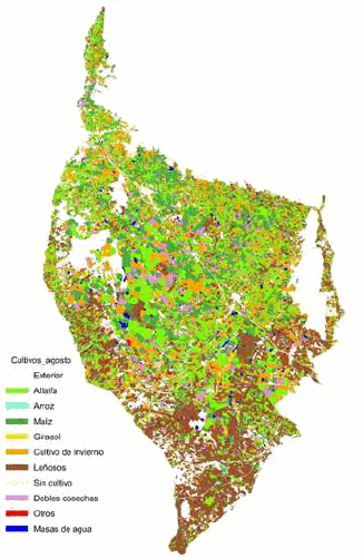 Odoo CMS - una imagen grande