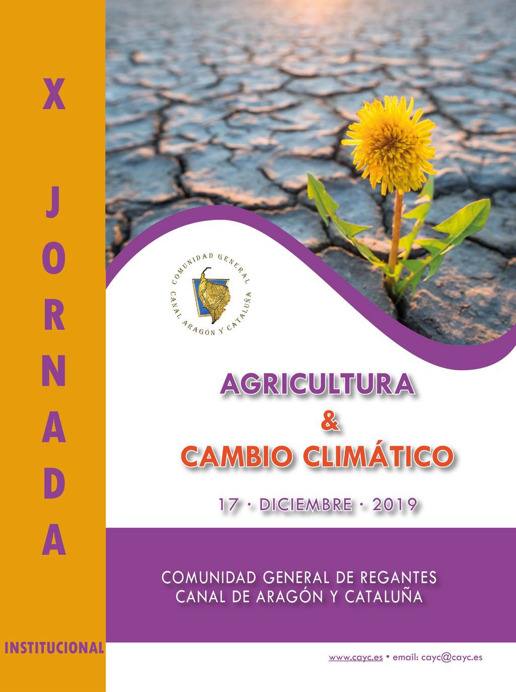 Odoo - Prueba 2 a tres columnas