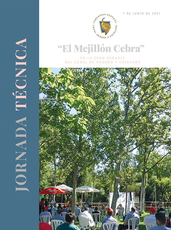 Odoo - Prueba 1 de tres columnas