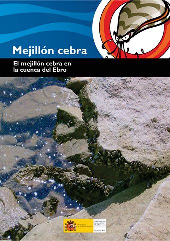 Odoo - Prueba 1 de tres columnas