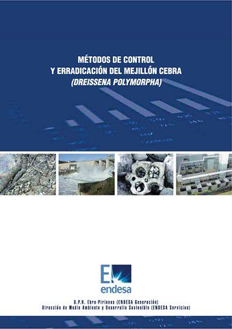 Odoo - Prueba 1 de tres columnas