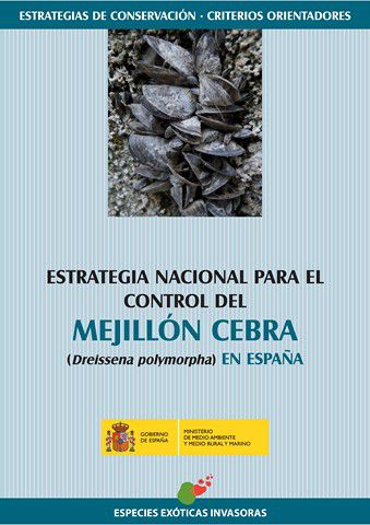 Odoo - Prueba 2 a tres columnas